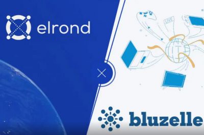 Bluzelle和Elrond合作提供基于Elrond Mainnet的DApp