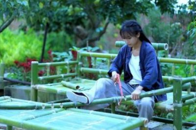 尊重社交网络属性和传播规律，将中国的文化向外传播