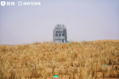 从循环经济到荒漠治理：转转集团“转转生态林”落地腾格里沙漠